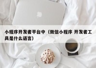 小程序開發(fā)者平臺中（微信小程序 開發(fā)者工具是什么語言）