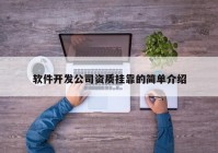 軟件開發(fā)公司資質掛靠的簡單介紹