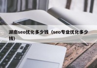 湖南seo優(yōu)化多少錢（seo專業(yè)優(yōu)化多少錢）