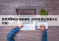 軟件開發(fā)的公司靠譜嗎（軟件開發(fā)公司是什么行業(yè)）