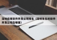 深圳應(yīng)用軟件開發(fā)公司排名（深圳有名的軟件開發(fā)公司在哪里）