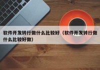 軟件開發(fā)轉(zhuǎn)行做什么比較好（軟件開發(fā)轉(zhuǎn)行做什么比較好做）