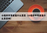 小程序開發(fā)者是什么意思（小程序開發(fā)者是什么意思?。? /></a>
		</div>
		<div   id=