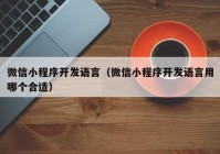 微信小程序開發(fā)語(yǔ)言（微信小程序開發(fā)語(yǔ)言用哪個(gè)合適）