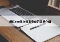 通遼seo優(yōu)化哪家專業(yè)的簡(jiǎn)單介紹